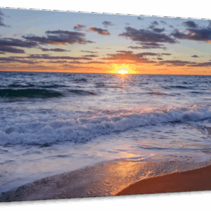 Ocean Beauty Wall Art