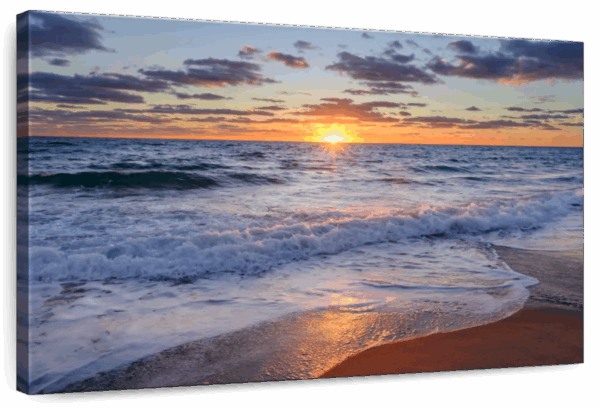 Ocean Beauty Wall Art